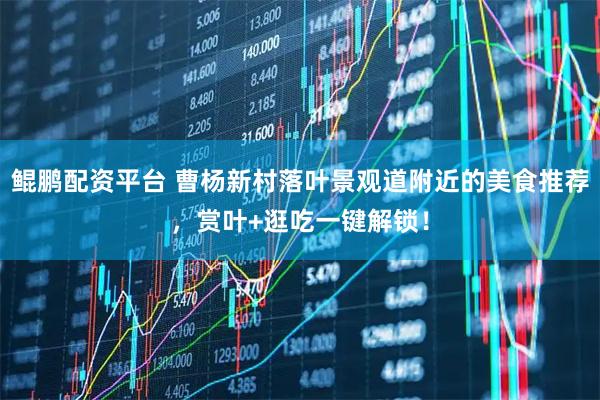 鲲鹏配资平台 曹杨新村落叶景观道附近的美食推荐，赏叶+逛吃一键解锁！