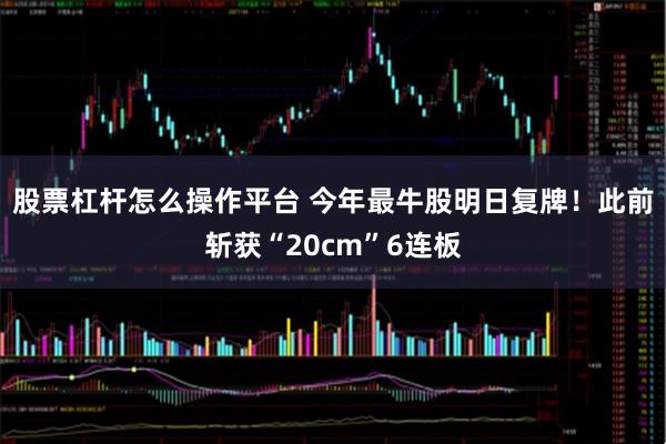 股票杠杆怎么操作平台 今年最牛股明日复牌！此前斩获“20cm”6连板